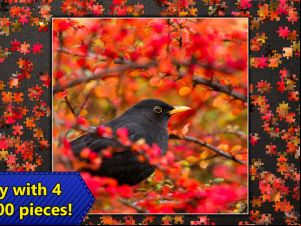 Jigsaw Puzzles Epic screenshot